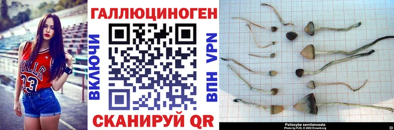 Псилоцибиновые грибы мухоморы наркошоп blacksprut ссылка Волжск